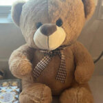 Teddy Bear