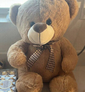 Teddy Bear